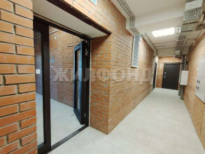  2- , ,  ., 253,  