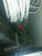  , ,  ., 155,  