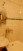  3- , ,  ., 114,  