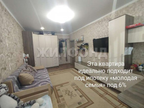  3- , ,  ., 6,  