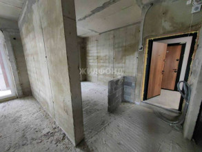  3- , . ,  . , 28,  