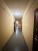  1- , ,  ., 56,  
