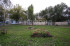  2- , , 9-   ., 17,  