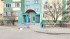  3- , , 51-  ., .36 .1,  