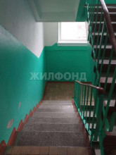  1- , ,  ., 19,  