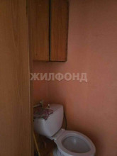  2- , ,  ., 43,  