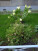  2- , ,  ., 165,  