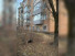 1- , ,  ., 60,  