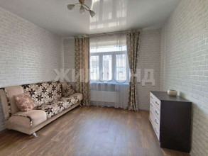  1- , ,  ., 650,  