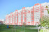  1- , ,  ., 41,  