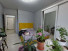  1- , ,  , 2,  