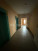  1- , ,   ., 67,  