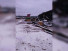      ,  ., 50   .,  