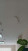    ,  .,  ., 15,  