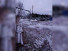      ,  ., 50   .,  