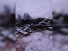     ,  ., 50   .,  