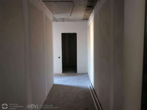  1- , ,  , .8,  
