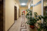 2- , ,  ., 298,  