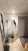  , ,  ., 21,  