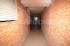  - , ,  ., 253,  
