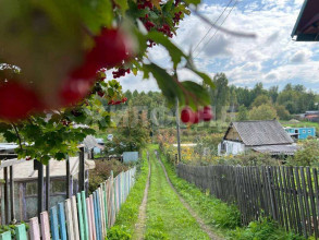 ������� ����, �����, ����� ���������� ���, ������� �������