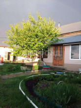 ������� ����, �����, ���������� ������� ��, ������� �������