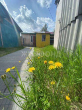 ������� ����, �����������, ����������� ��, �����-���������� ��