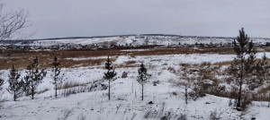 ������� ���������� �������, � ���������� ���� ����������, ����������-1 ���������� ���, ������������ ����