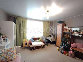 ������� �������� � �����������, ������ �����, ��������������� ��., 74, ������������ �������