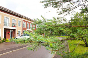 ������� ����, � ��������, ���� ����������� ����������, 11, ���������� �������