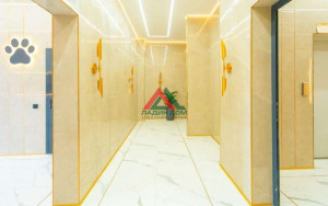 ������� 1-��������� ��������, ���������, ��������� ��., �.85 �.3, ������������� ����