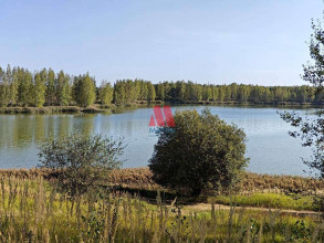 ������� ����, � ����������, �.11, ����������� �������