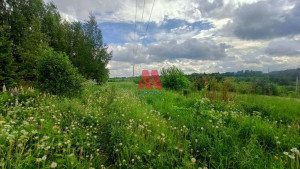 ������� ���������� �������, �������� �., ����������� �������