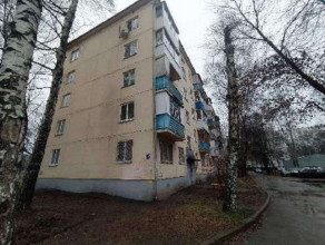 ������� �����, ���, ������� ����� ��., 52, ���������� ������������