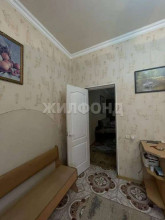 ������� ����, ������� ���������, 19-� ����� ��, �������������� ����