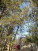 ������� ����, � �������������, ������� ��, ������������� �������
