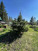 ������� ����, ������������� �������, ������� ��, ������������� �������