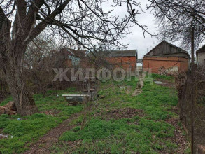 ������� ����, ������� ���������, ���������� ��, �������������� ����